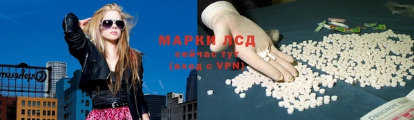 apvp Пересвет
