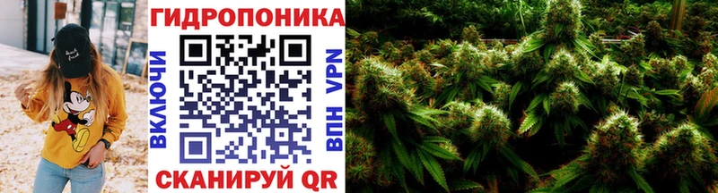 МАРИХУАНА SATIVA & INDICA  Краснодар 